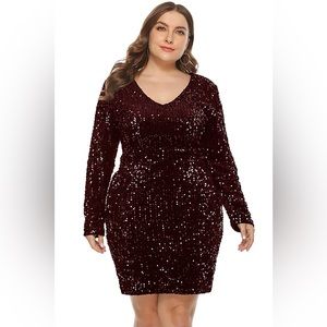 Elegant Burgundy Sequin Dress